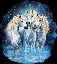 three unicorns